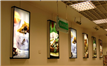 Advertising interior design and decoration for shopping centers