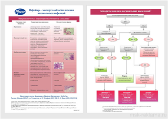 Picture. Brochures. Graphic art (polygraphy). Examples of our work. Offset and digital printing.