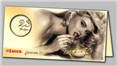 Graphic design for catalogue