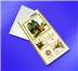  Design for flyers and catalogue