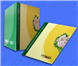 Graphic design for brochure